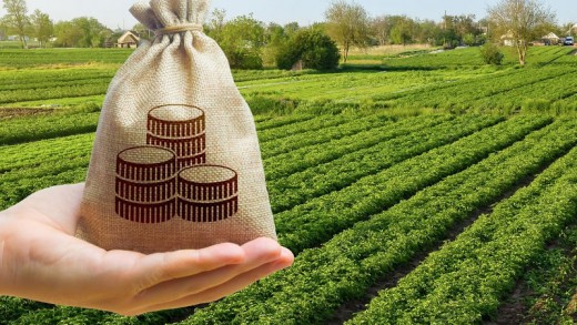 agri_money1