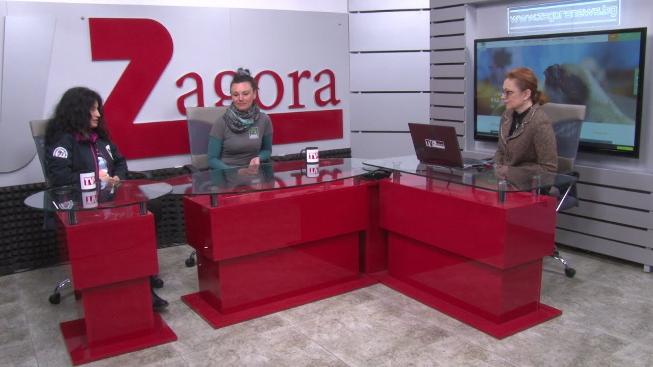11.04.2022г. Сутрин с нас 2 част. 11 новоизлюпени соколчета в Спасителния център на Зелени Балкани
