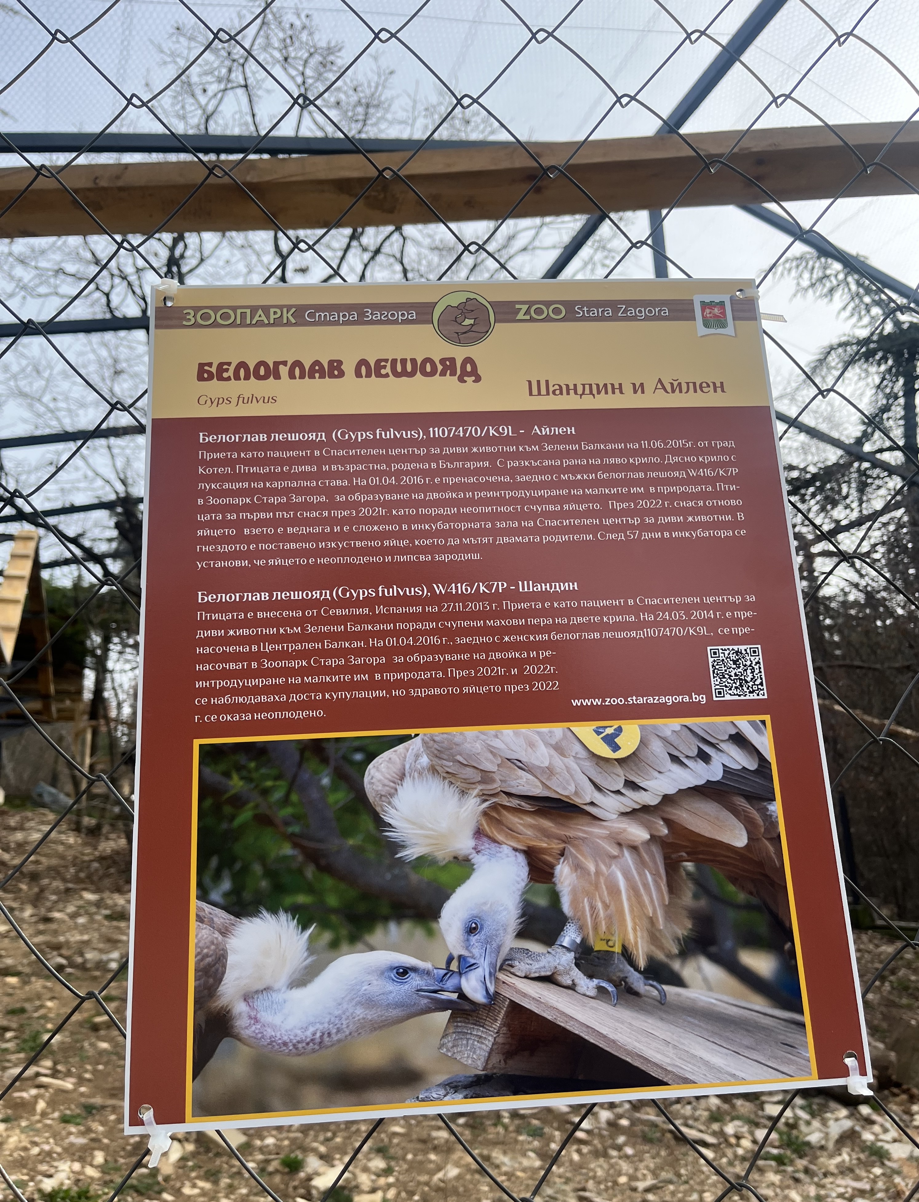 Зоопарк Стара Загора в съвместна инициатива със Спасителен център Зелени Балкани и НПГВМ „Иван Павлов“ Зоопарк Стара Загора в съвместна инициатива със Спасителен център Зелени Балкани и НПГВМ „Иван Павлов“